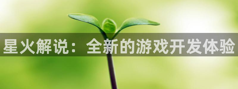 摩根娱乐登陆：星火解说：全新的游戏开发体验