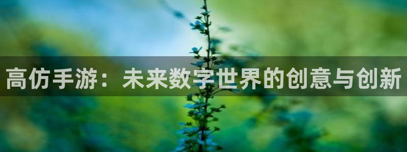 摩根娱乐官网入口网址是什么：高仿手游：未来数字世界的创意与创