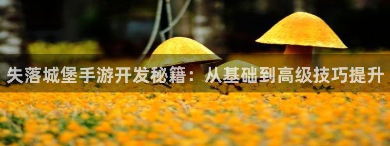 摩根娱乐下载：失落城堡手游开发秘籍：从基础到高级技巧提升