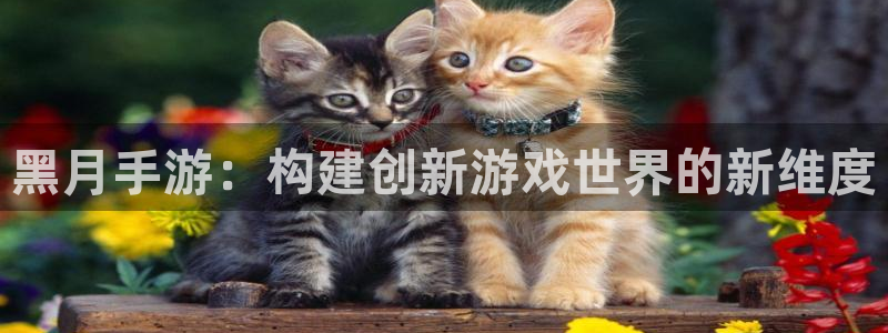 摩根娱乐是正规公司吗知乎：黑月手游：构建创新游戏世界的新维度