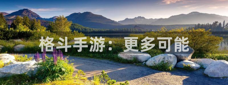 摩根娱乐官网入口网址大全：格斗手游：更多可能