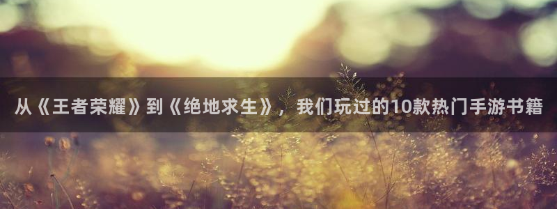 摩根娱乐是正规合法的吗：从《王者荣耀》到《绝地求生》，我们玩