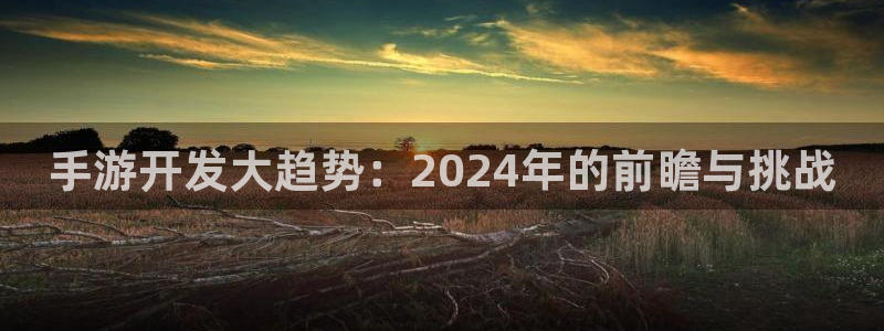 摩根娱乐官网入口网址大全：手游开发大趋势：2024年的前瞻与