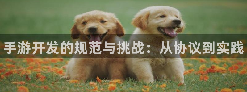 摩根娱乐挂机项目