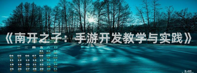 摩根娱乐挂机项目是什么：《南开之子：手游开发教学与实践》