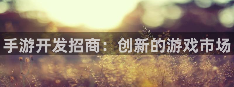 摩根娱乐会所：手游开发招商：创新的游戏市场